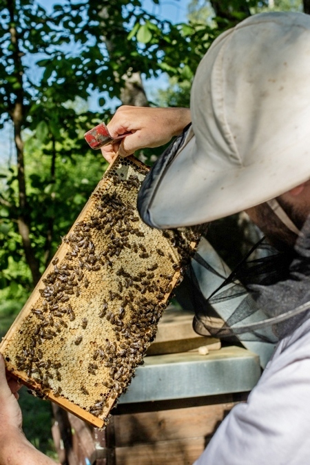 Výroba a prodej včelích úlů Velký Dřevíč